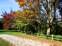 Cowen Park (Fall 2015) (4)