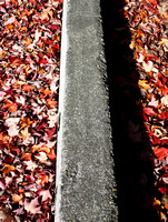 Cowen Park (Fall 2015) (12)