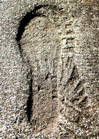 Concrete Footprint